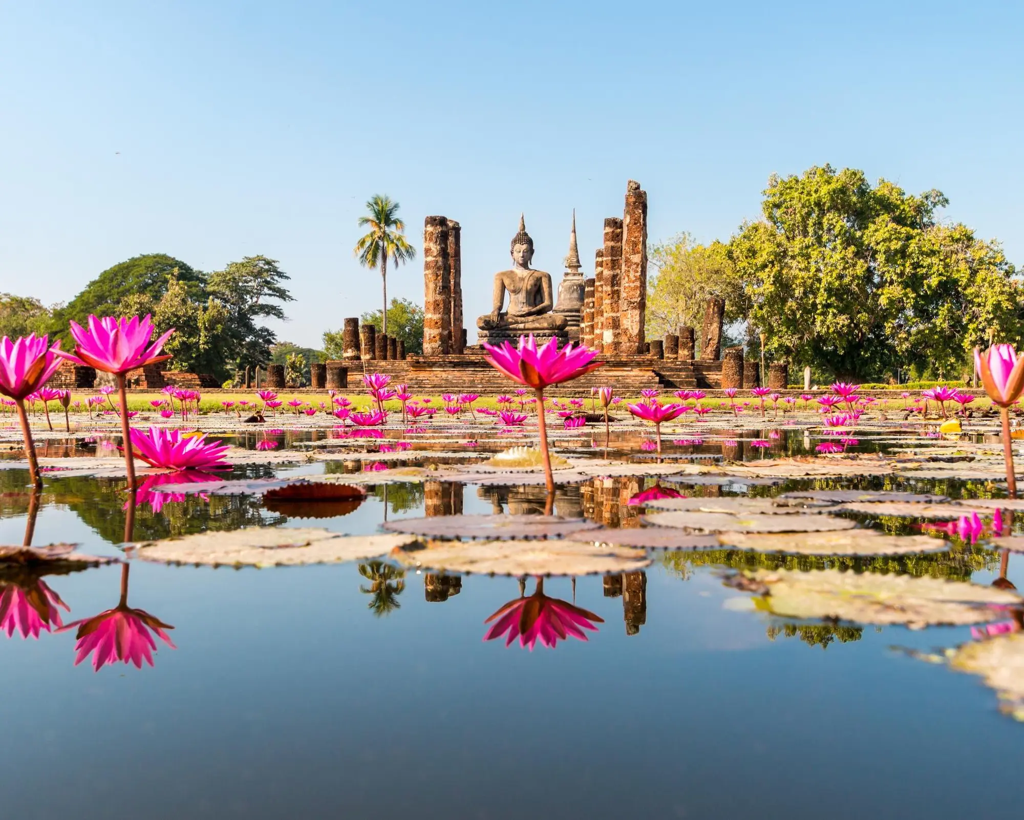 TAILANDIA CON PHUKET & INDIA 14 noches desde U$S 2.609